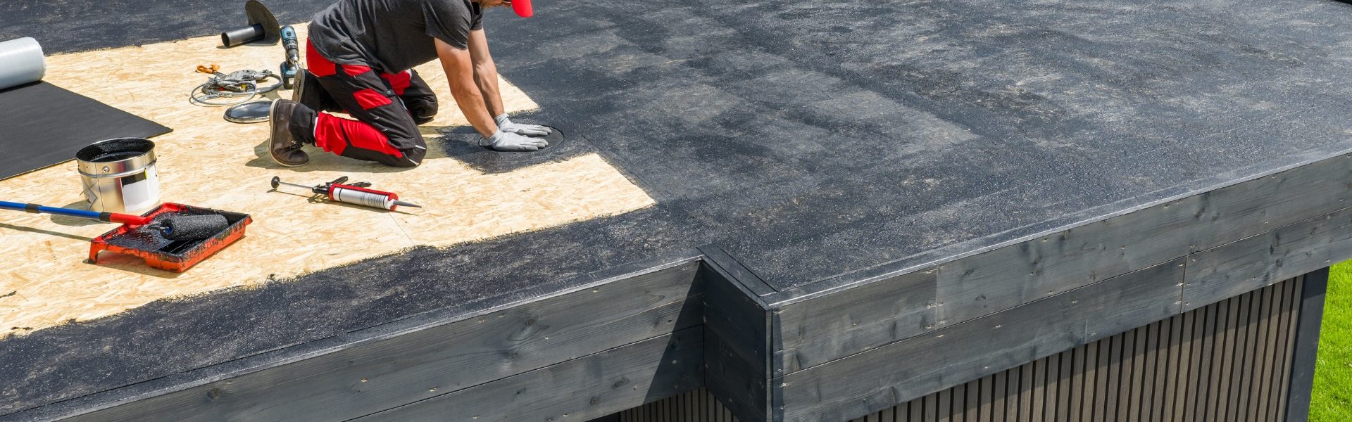 Roof painting services in Douglasdale
