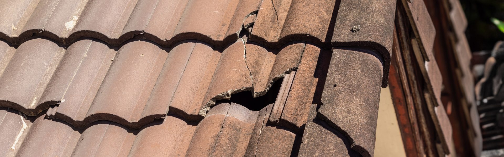 Tile roof repair services in Randburg